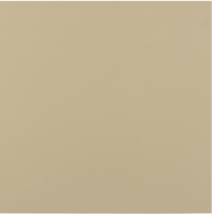 INTENSE BEIGE